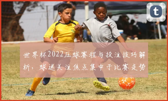 世界杯2022压球赛程与投注技巧解析，球迷关注焦点集中于比赛走势